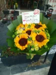 IMG-20250907-WA0054