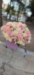 IMG-20250907-WA0054
