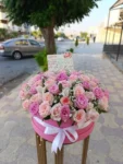 IMG-20250907-WA0054